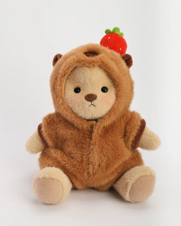 Brown Bear + Roupa